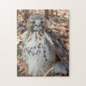 Red Tail Hawk Doubled Puzzle (Vertikal)