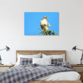 Red Tail Hawk Free in der Wind-Leinwand Leinwanddruck (Insitu (Schlafzimmer))