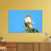 Red Tail Hawk Free in der Wind-Leinwand Leinwanddruck (Insitu (Wohnzimmer))