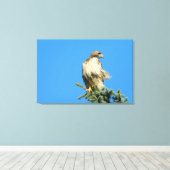 Red Tail Hawk Free in der Wind-Leinwand Leinwanddruck (Insitu (Holzboden))