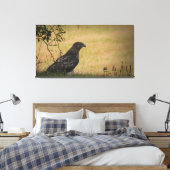Red Tail Hawk in Gras Leinwanddruck (Insitu (Schlafzimmer))