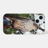 Red-Tail Hawk iPhone 15 Hülle (Rückseite (Horizontal))