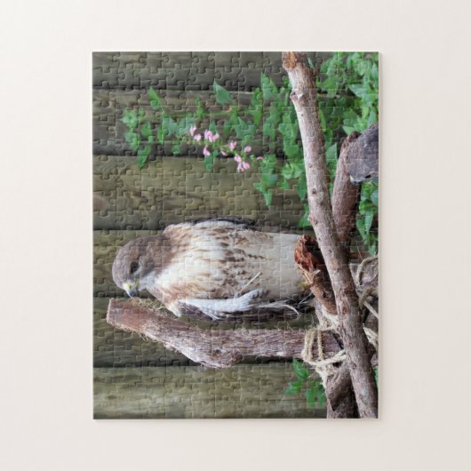 Red Tail Hawk - Jigsaw Puzzle (Vertikal)