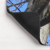 Red Tail Hawk (Juevenile) Mouse Pad Mousepad (Ecke)