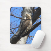 Red Tail Hawk (Juevenile) Mouse Pad Mousepad (Mit Mouse)