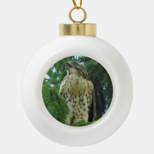 Red-Tail Hawk Keramik Kugel-Ornament