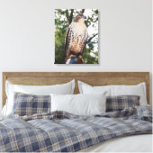 Red-Tail Hawk Leinwanddruck (Insitu (Schlafzimmer))