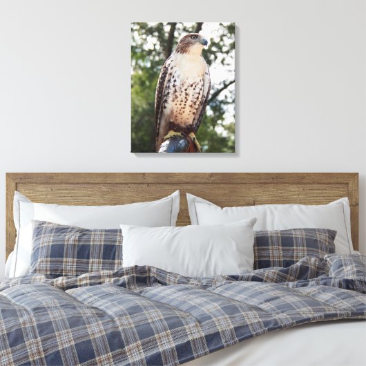 Red-Tail Hawk Leinwanddruck (Insitu (Schlafzimmer))