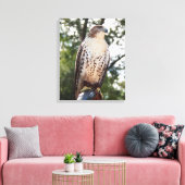 Red-Tail Hawk Leinwanddruck (Insitu (Wohnzimmer))