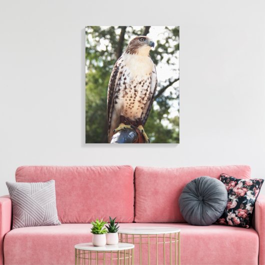 Red-Tail Hawk Leinwanddruck (Insitu (Wohnzimmer))