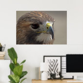 Red-Tail Hawk Poster (Heimbüro)