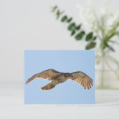 Red Tail Hawk Postkarte (Stehend Vorderseite)