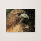 Red Tail Hawk Puzzle (Horizontal)