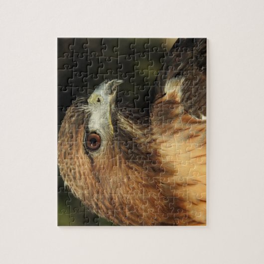 Red Tail Hawk Puzzle (Vertikal)