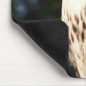 Red Tail Hawk Stare Down Mousepad (Ecke)