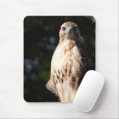 Red Tail Hawk Stare Down Mousepad (Mit Mouse)