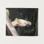 Red Tail Hawk Tapestry - klein Wandteppich (Vorderseite (Horizontal))