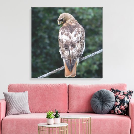 Red Tail Hawk (Zurück) Canvas Print Leinwanddruck (Insitu (Wohnzimmer))