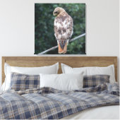 Red Tail Hawk (Zurück) Canvas Print Leinwanddruck (Insitu (Schlafzimmer))