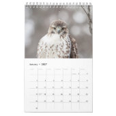 Red Tail Hawks 2026 Kalender (Jan 2027)