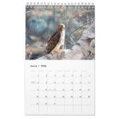 Red Tail Hawks 2026 Kalender (Mär 2026)