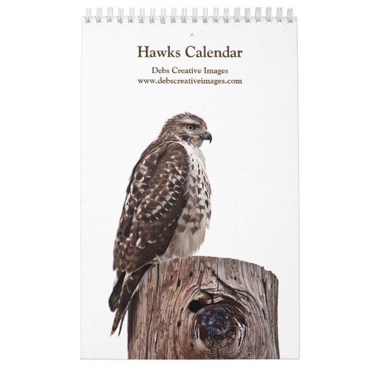 Red Tail Hawks 2026 Kalender (Titelbild)