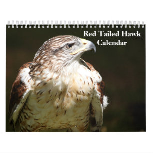 Red Tailed Hawk 2023 Kalender