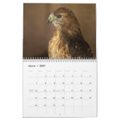 Red Tailed Hawk 2023 Kalender (Mär 2027)