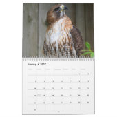 Red Tailed Hawk 2023 Kalender (Jan 2027)