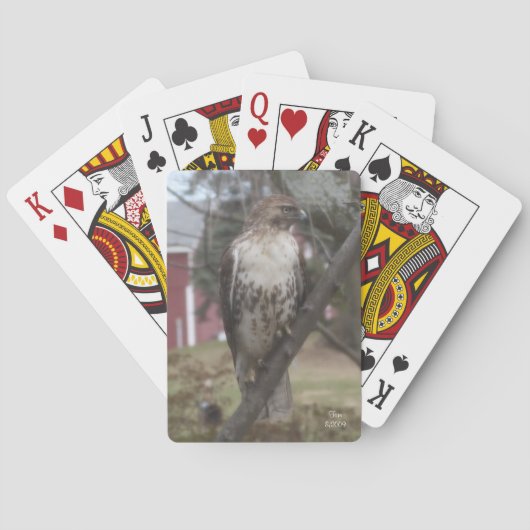 Red-tailed Hawk Bicycle Playing Cards Spielkarten (Rückseite)