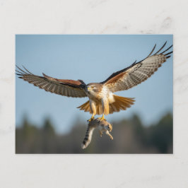 Red-tailed hawk catches squirrel  postkarte