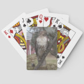 Red-tailed Hawk Playing Cards Spielkarten (Rückseite)