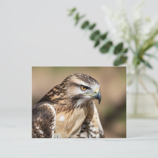 Red-tailed hawk Seating Postkarte (Stehend Vorderseite)
