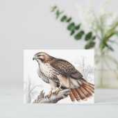 Red-tailed hawk sketch postkarte (Stehend Vorderseite)