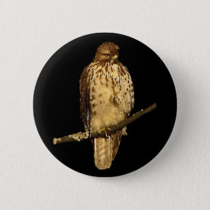 Red Tailing Hawk Button