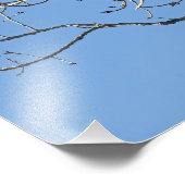 Red Tailing Hawk Fotodruck (Ecke)