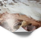 Red Tailing Hawk Fotodruck (Ecke)