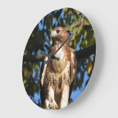 Red Tailing Hawk Große Wanduhr (Winkel)