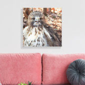 Red Tailing Hawk Leinwanddruck (Insitu (Wohnzimmer))
