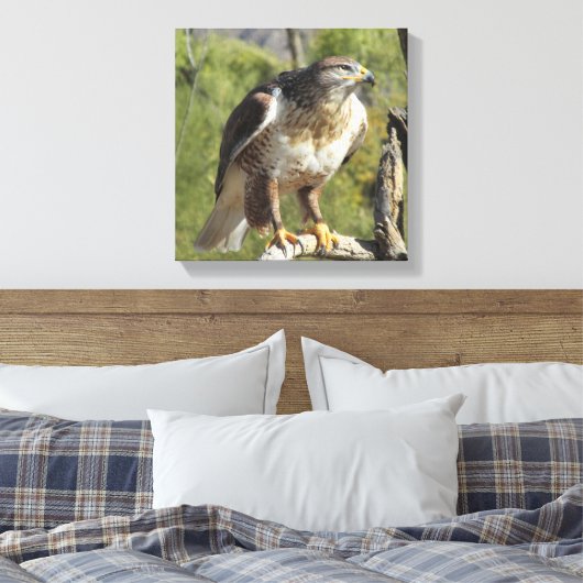 Red Tailing Hawk Leinwanddruck (Insitu (Schlafzimmer))