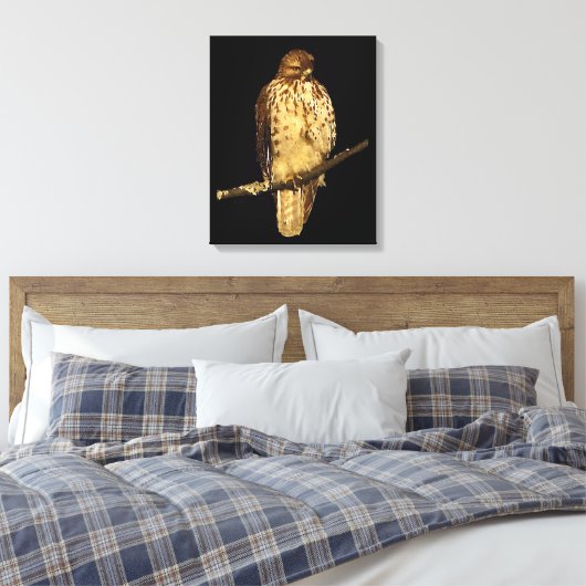 Red Tailing Hawk Leinwanddruck (Insitu (Schlafzimmer))