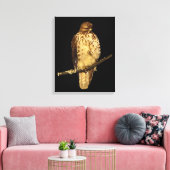 Red Tailing Hawk Leinwanddruck (Insitu (Wohnzimmer))