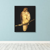 Red Tailing Hawk Leinwanddruck (Insitu (Holzboden))