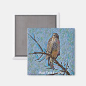 Red Tailing Hawk Magnet (Vorderseite/Rückseite)