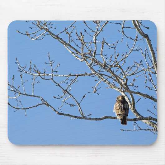 Red Tailing Hawk Mousepad (Vorne)