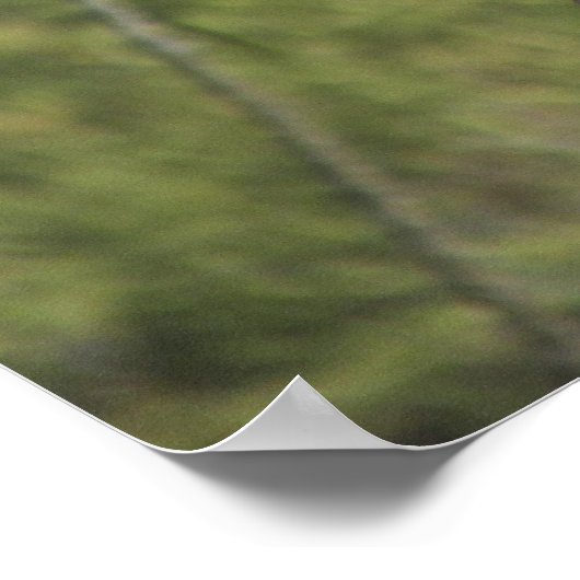 Red Tailing Hawk Poster (Ecke)