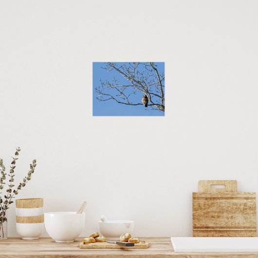 Red Tailing Hawk Poster (Küche)