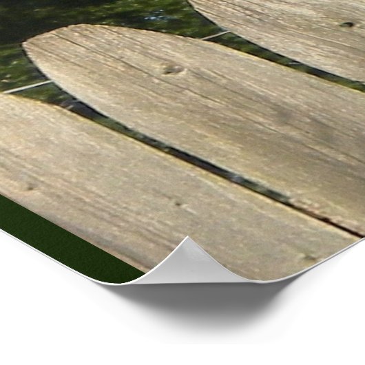 Red Tailing Hawk Poster (Ecke)