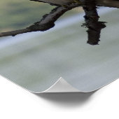 Red Tailing Hawk Poster (Ecke)