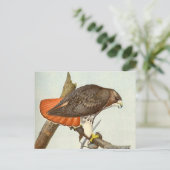 Red Tailing Hawk Postkarte (Stehend Vorderseite)
